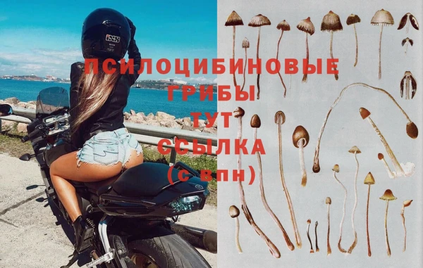 2c-b Абдулино