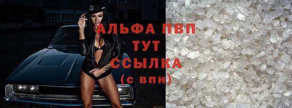 крисы Алексин