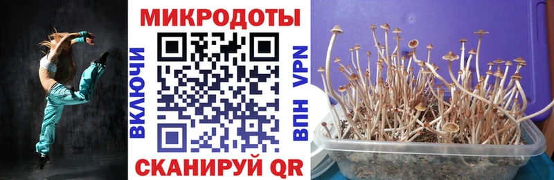 где найти наркотики  Суровикино  Псилоцибиновые грибы Cubensis 
